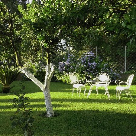 Casa Malu Boutique Apartments - No 1 Гоувия Экстерьер фото